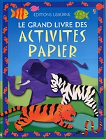 Grand Livre des Activités Papier (Le)