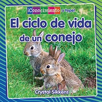 El ciclo de vida de un conejo