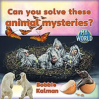 Can You Solve These Animal Mysteries?