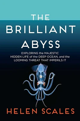 The Brilliant Abyss