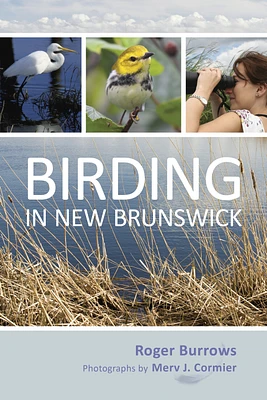 Birding In New Brunswick