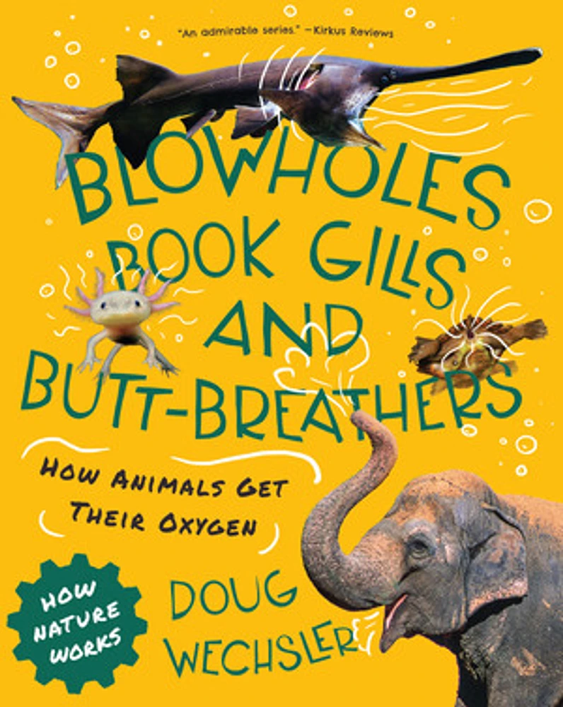 Blowholes, Book Gills, and Butt Breathers