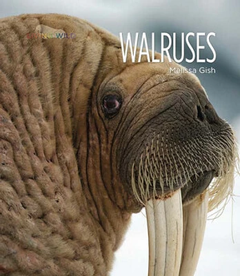 Living Wild: Walruses