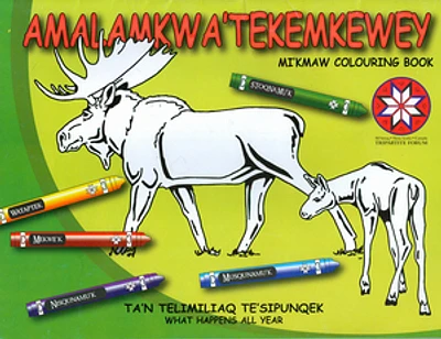 Amalamkwa'Tekemkewey: Mi'kmaw Colouring Book