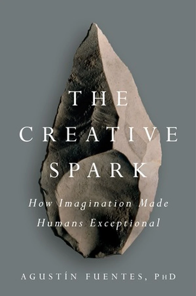 The Creative Spark