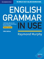 English Grammar in Use: A Self-Study Reference and Practice Book for Intermediate Learners of English without Answers