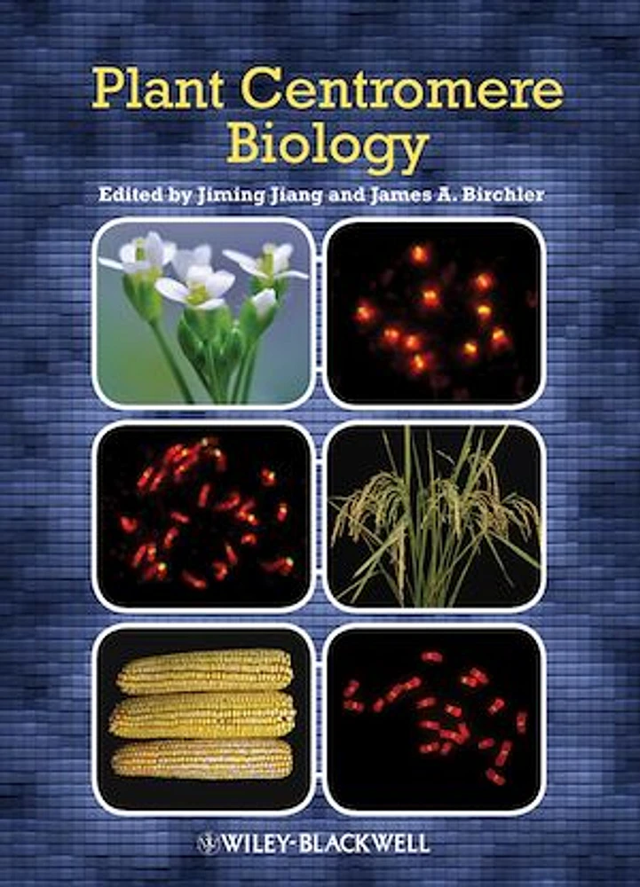 Plant Centromere Biology