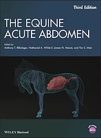 The Equine Acute Abdomen