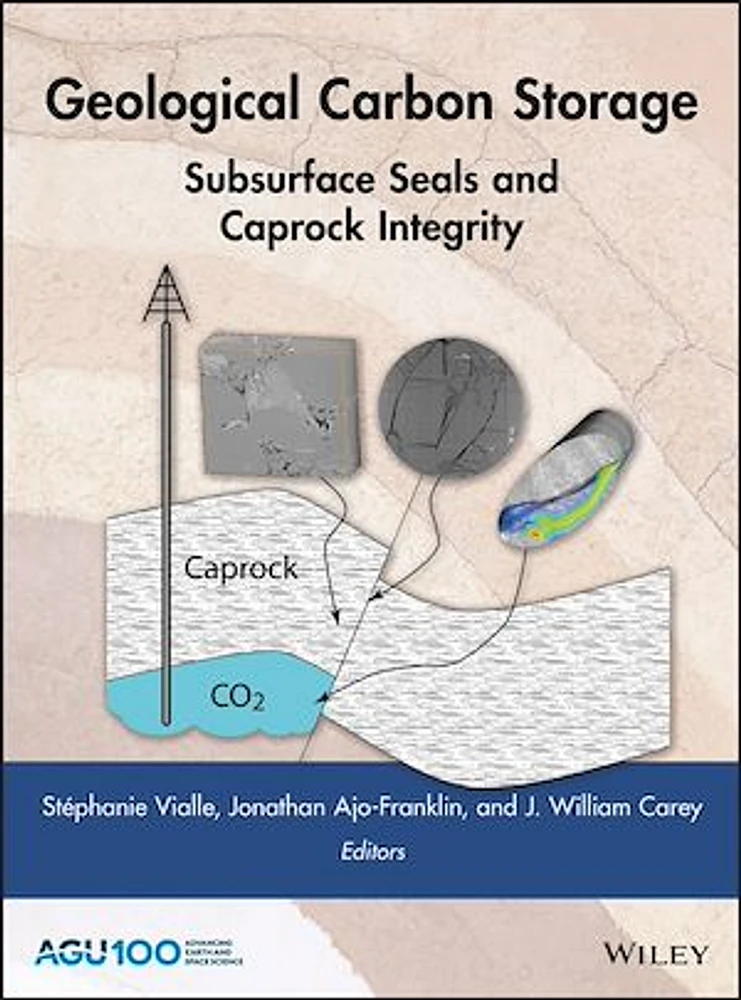 Geological Carbon Storage