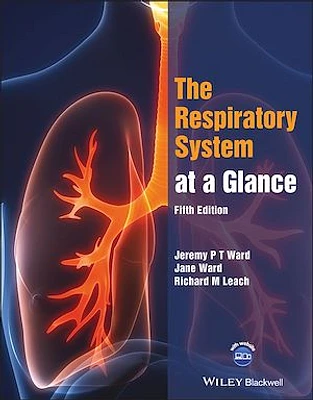 The Respiratory System at a Glance