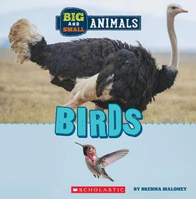 Birds (Wild World: Big and Small Animals)