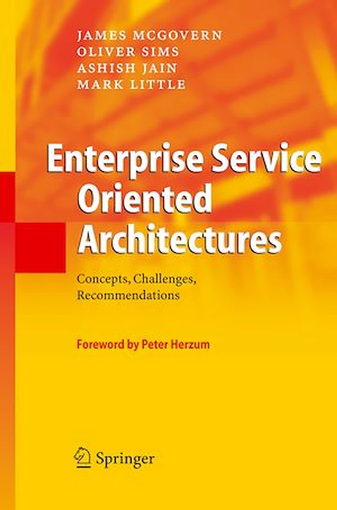 Enterprise Service Oriented Architectures