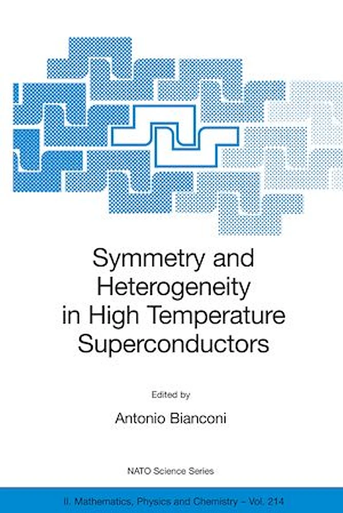 Symmetry and Heterogeneity in High Temperature Superconductors