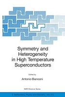 Symmetry and Heterogeneity in High Temperature Superconductors