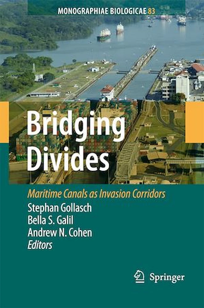 Bridging Divides