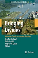 Bridging Divides