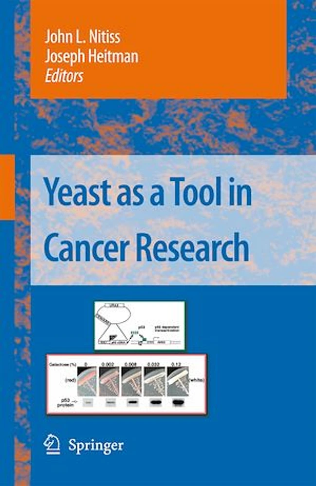 Yeast as a Tool in Cancer Research