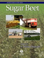 Sugar Beet