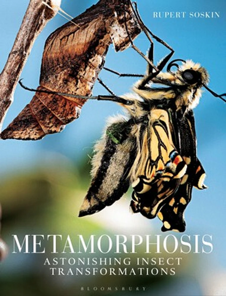 Metamorphosis