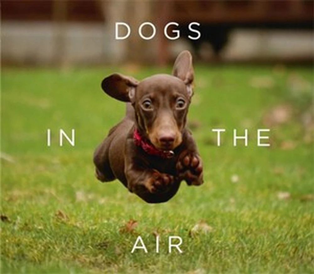 Dogs in the Air