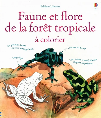 Faune et flore de la forêt tropicale à colorier