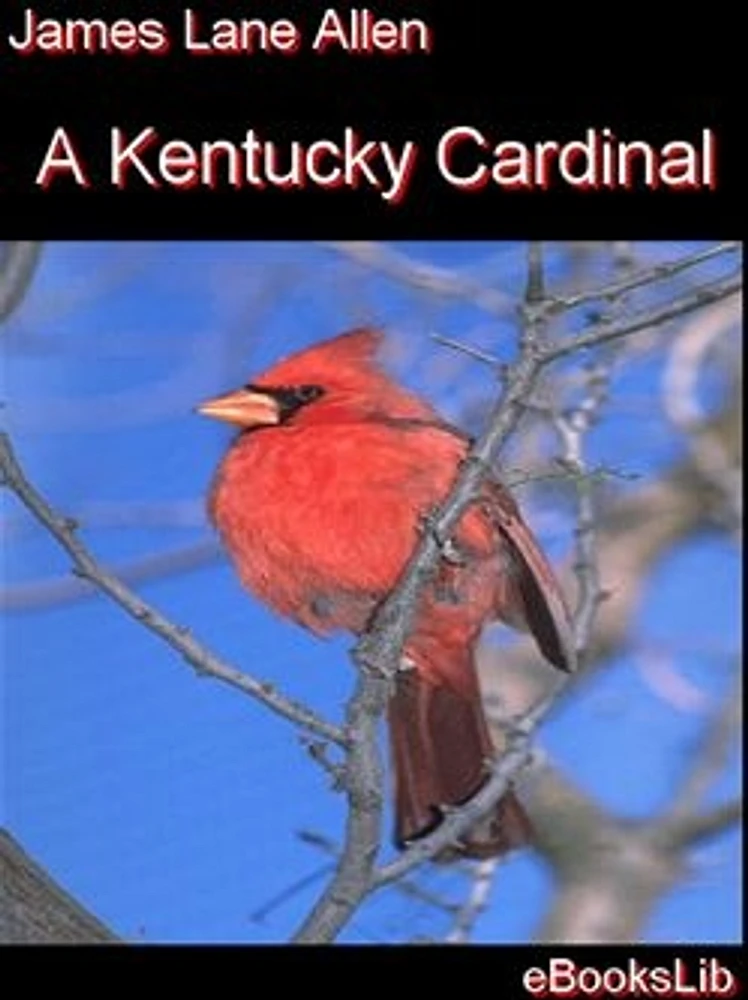 A Kentucky Cardinal