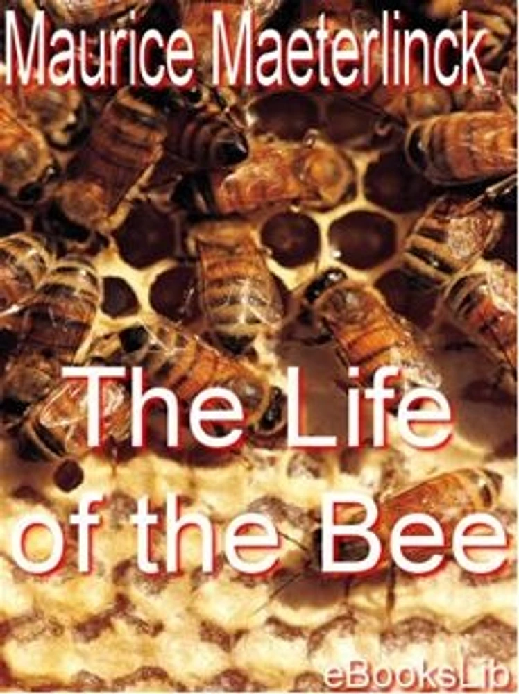 The Life of the Bee