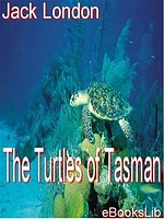 The Turtles of Tasman