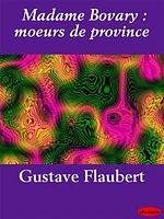 Madame Bovary : moeurs de province