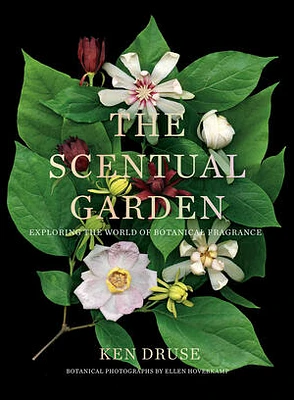 The Scentual Garden