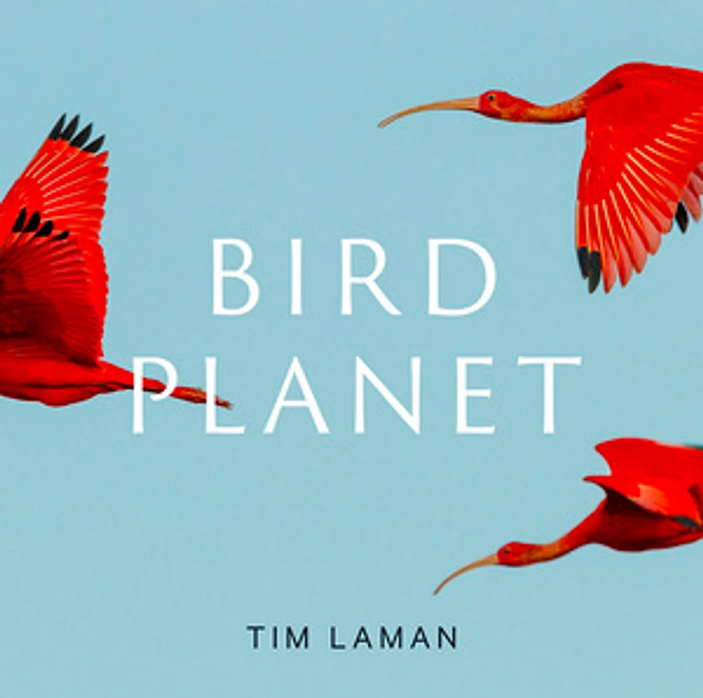 Bird Planet