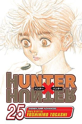 Hunter x Hunter, Vol. 25