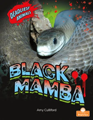 Black Mamba