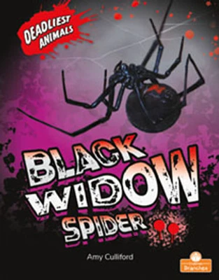 Black Widow Spider