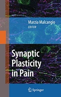 Synaptic Plasticity in Pain