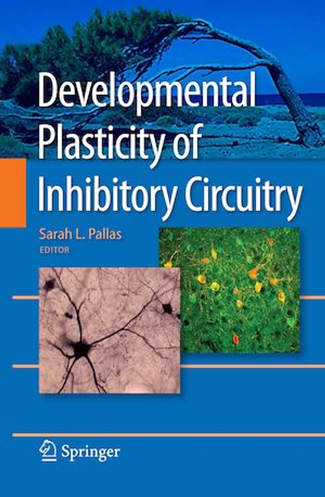 Developmental Plasticity of Inhibitory Circuitry