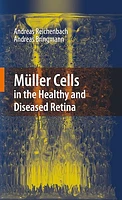 Müller Cells in the Healthy and Diseased Retina