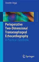 Perioperative Two-Dimensional Transesophageal Echocardiography