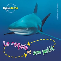 Requin et son petit (Le)