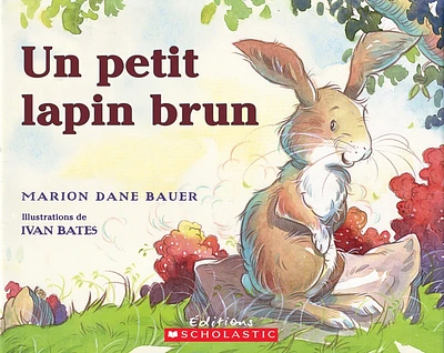 Un petit lapin brun