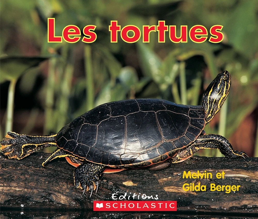 Tortues (Les)