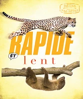 Rapide et Lent