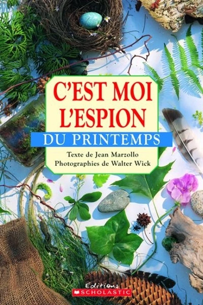 C'est moi l'espion du printemps