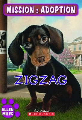 Mission: adoption. Zigzag