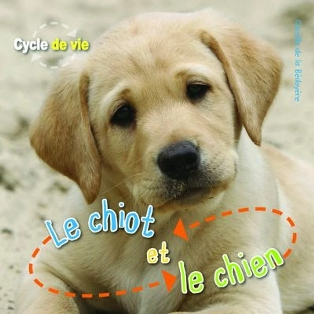 Le chiot et le chien