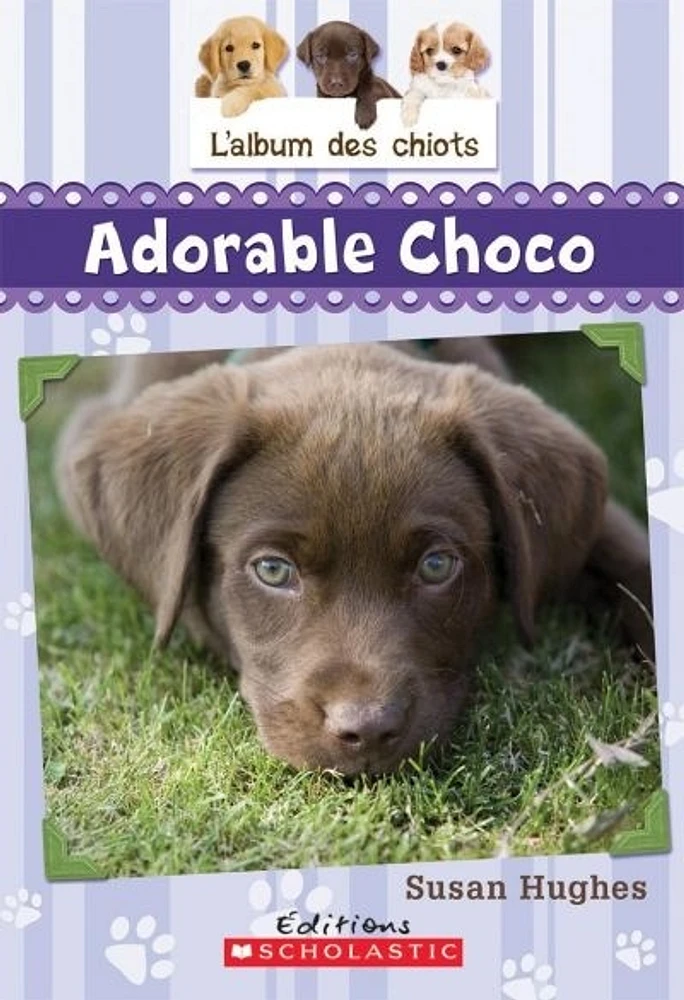 L'album des chiots T.1 : Adorable Choco