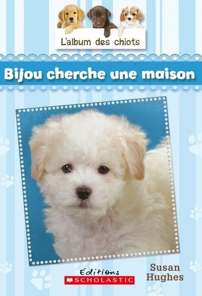 Bijou cherche une maison