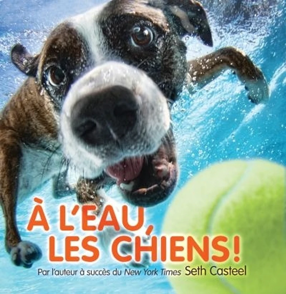 À l'eau, les chiens!