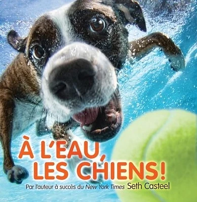 À l'eau, les chiens!