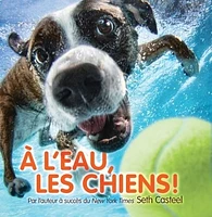 À l'eau, les chiens!